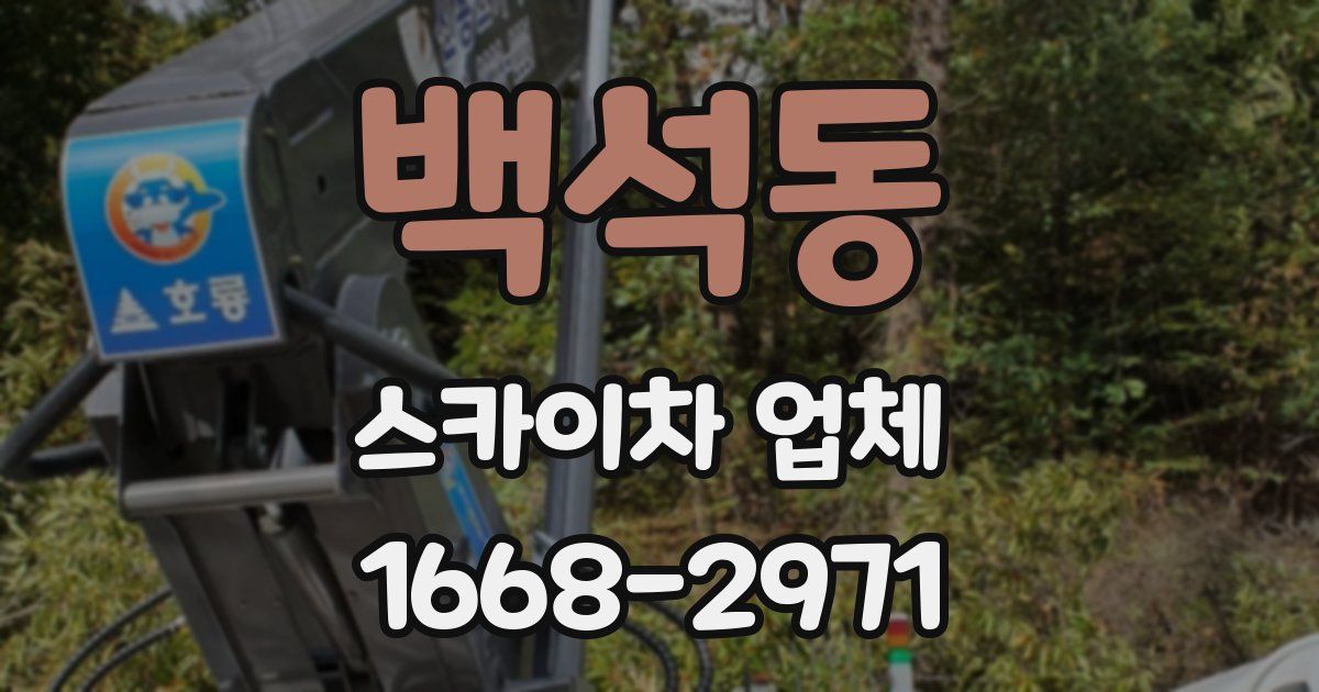 백석동 스카이차 업체