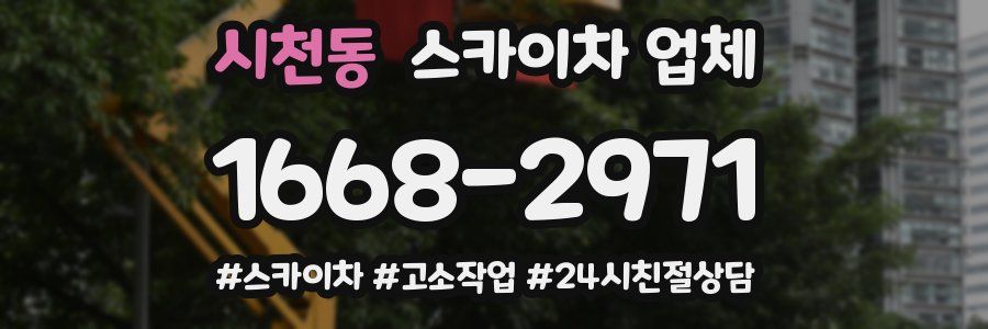 시천동 스카이차 업체