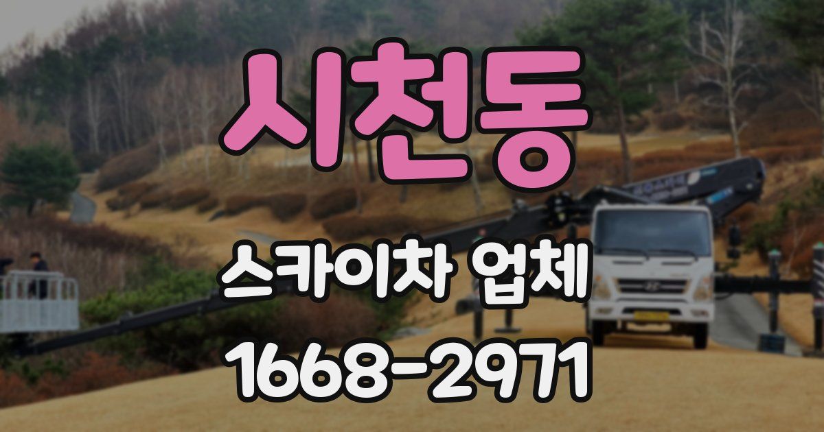 시천동 스카이차 업체