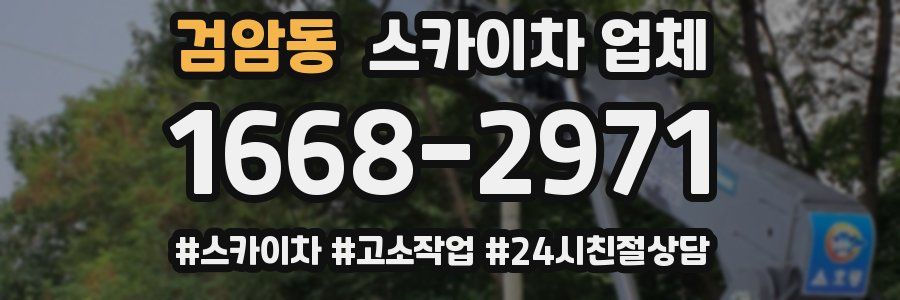 검암동 스카이차 업체