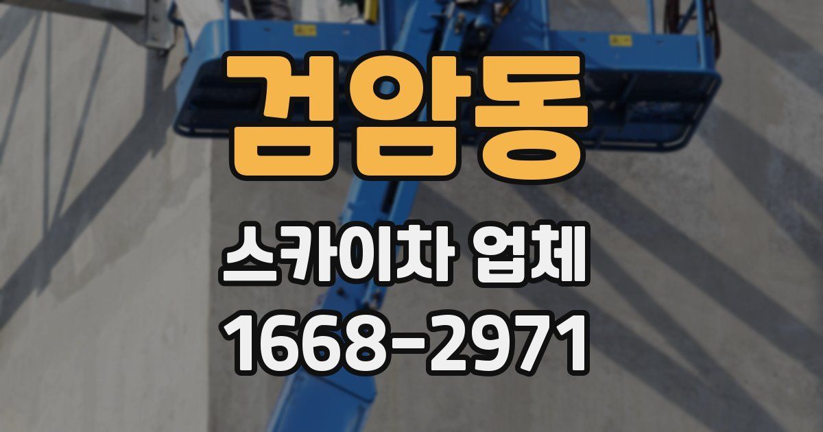 검암동 스카이차 업체