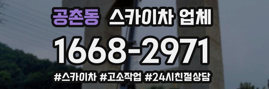 공촌동 스카이차 업체
