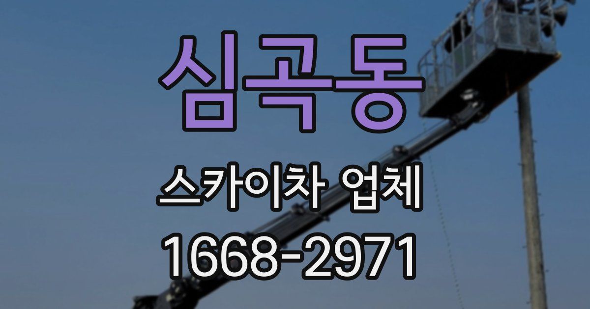 심곡동 스카이차 업체