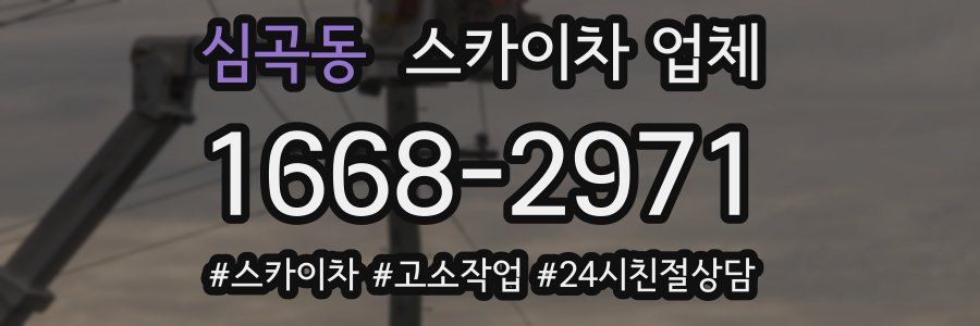 심곡동 스카이차 업체