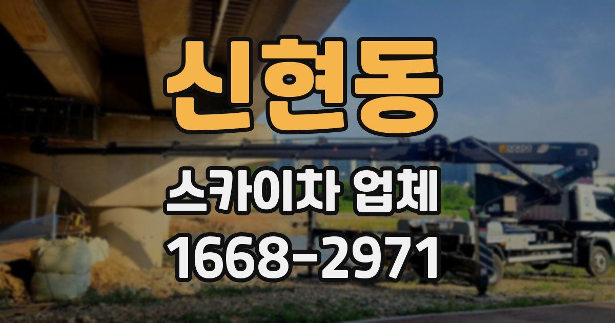 신현동 스카이차 업체