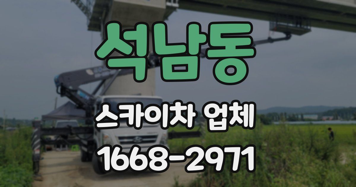 석남동 스카이차 업체