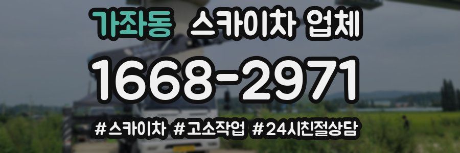가좌동 스카이차 업체