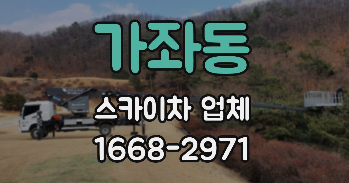 가좌동 스카이차 업체