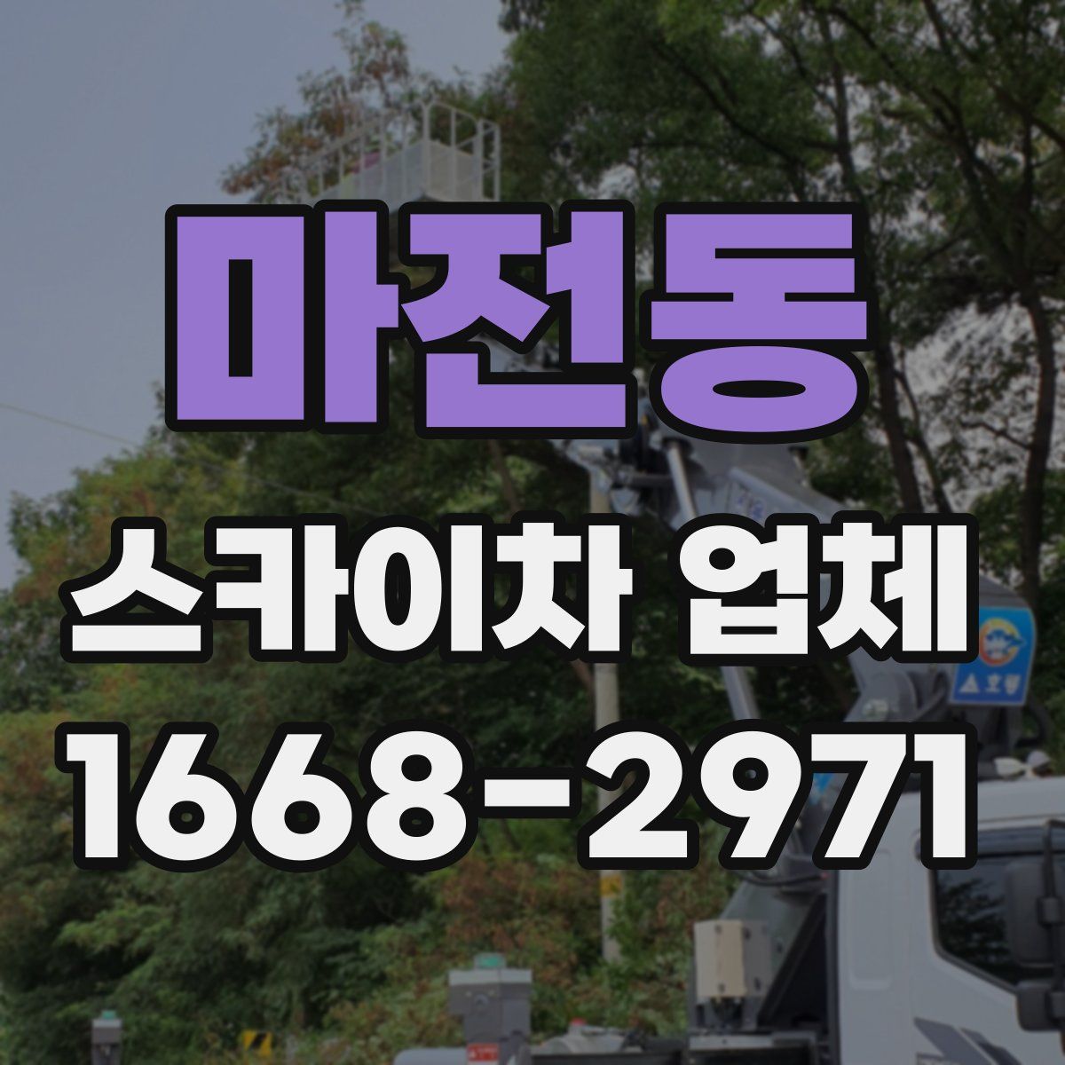 마전동 스카이차 업체
