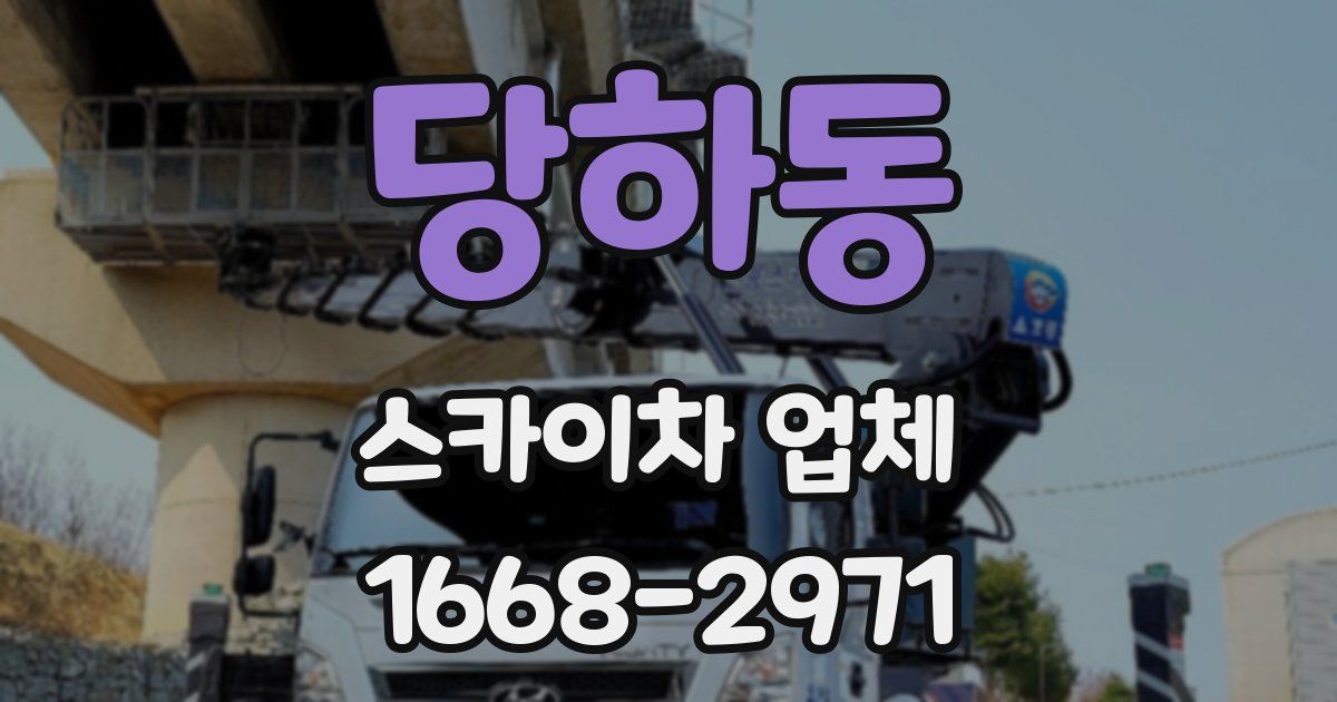 당하동 스카이차 업체