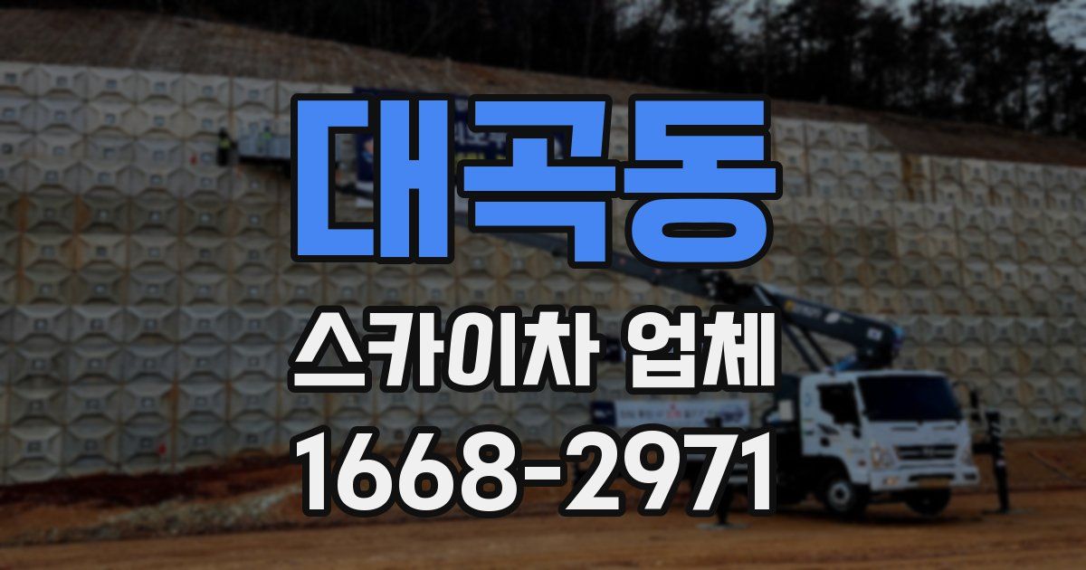 대곡동 스카이차 업체