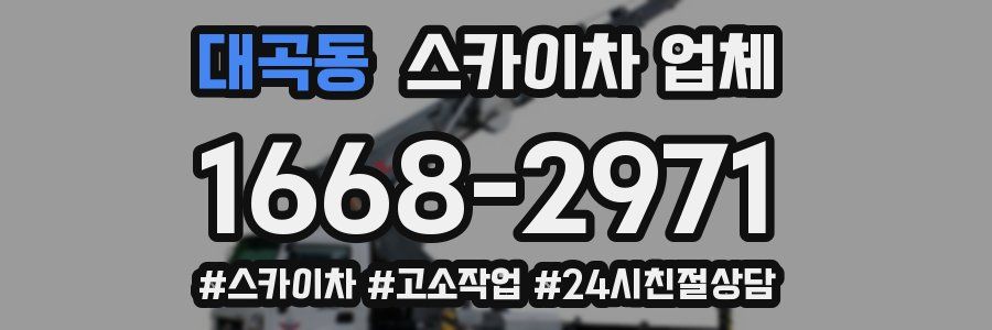 대곡동 스카이차 업체