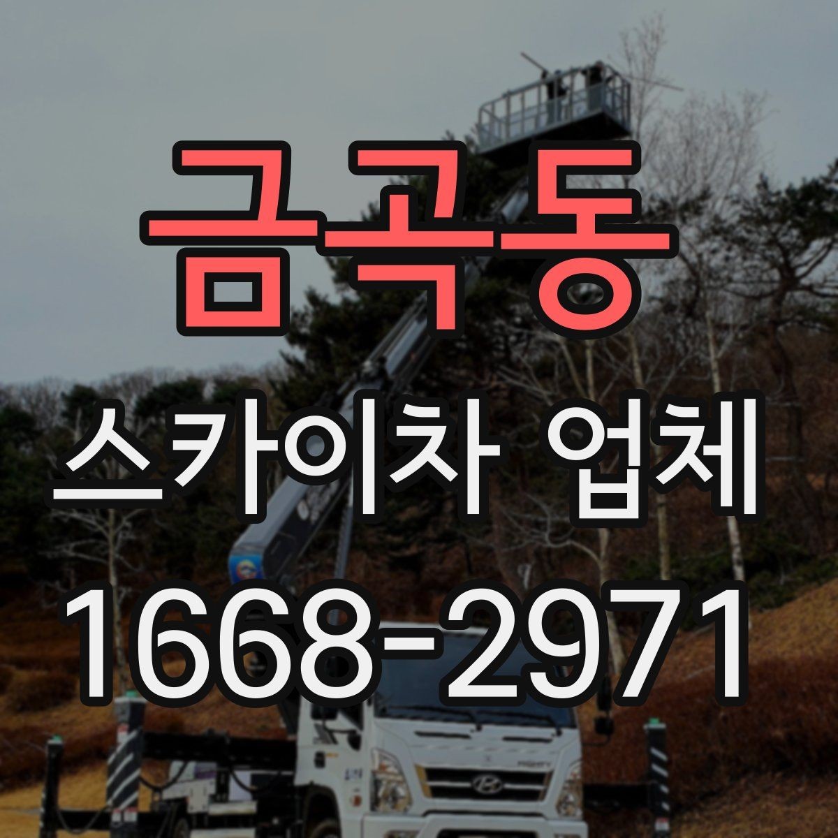 금곡동 스카이차 업체 이용 시 날씨 변수와 주의점