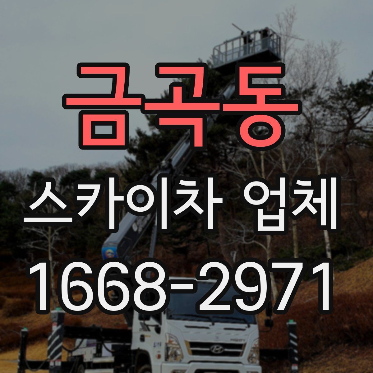 금곡동 스카이차 업체