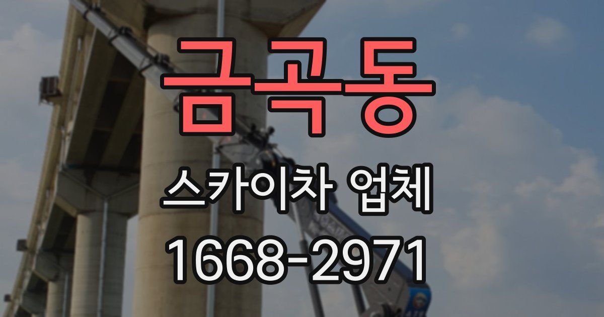 금곡동 스카이차 업체