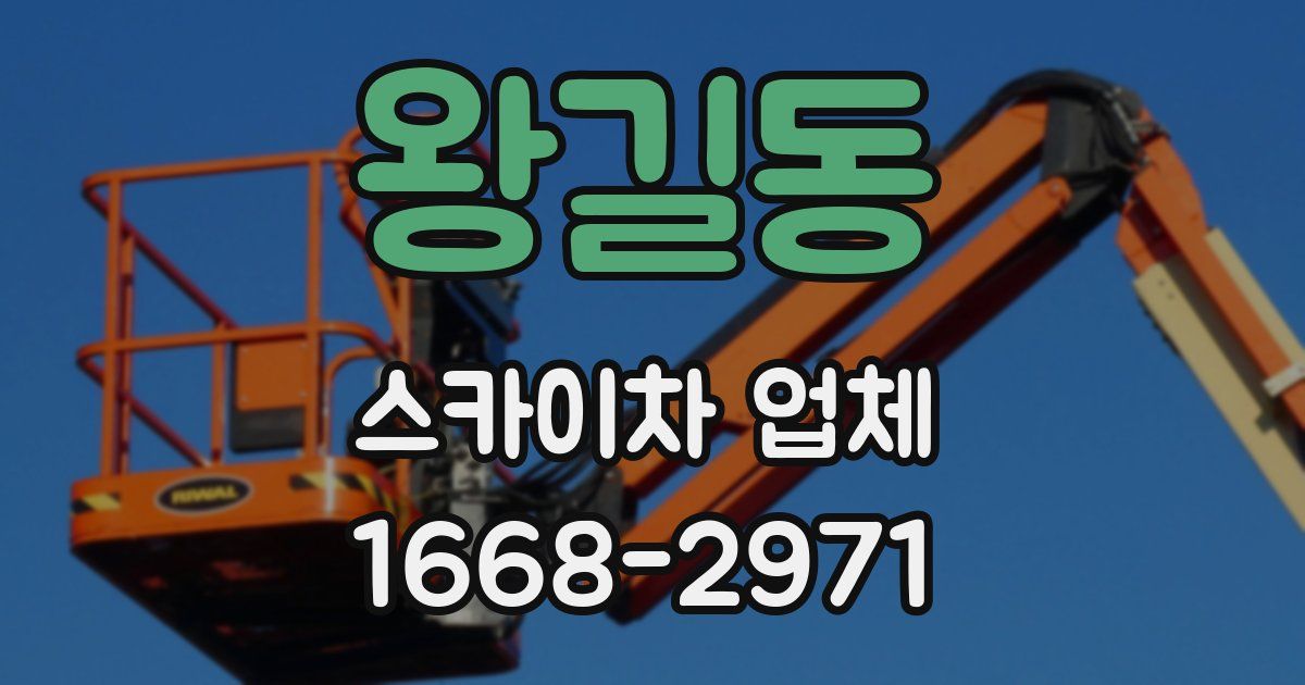 왕길동 스카이차 업체