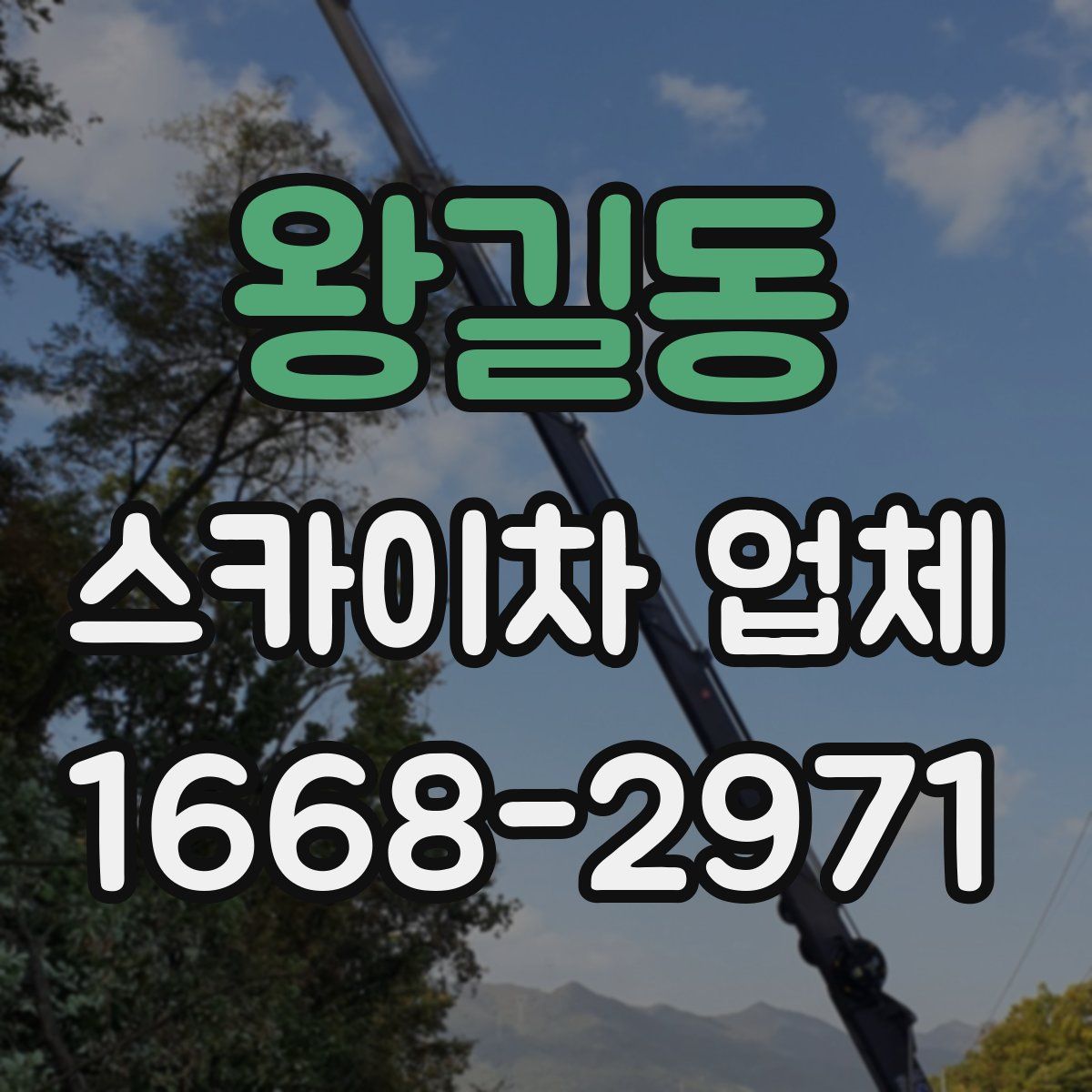 왕길동 스카이차 업체