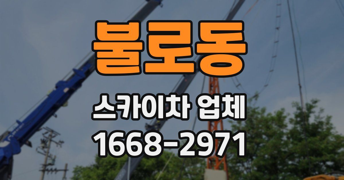 불로동 스카이차 업체