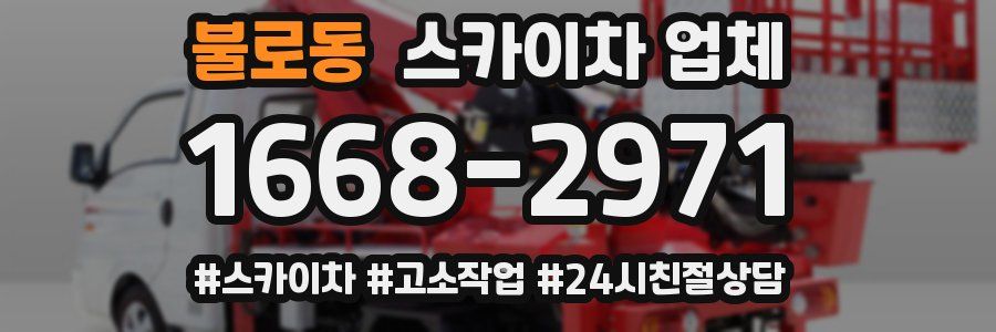 불로동 스카이차 업체