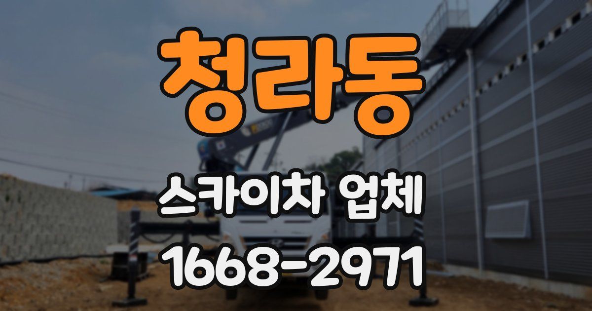 청라동 스카이차 업체