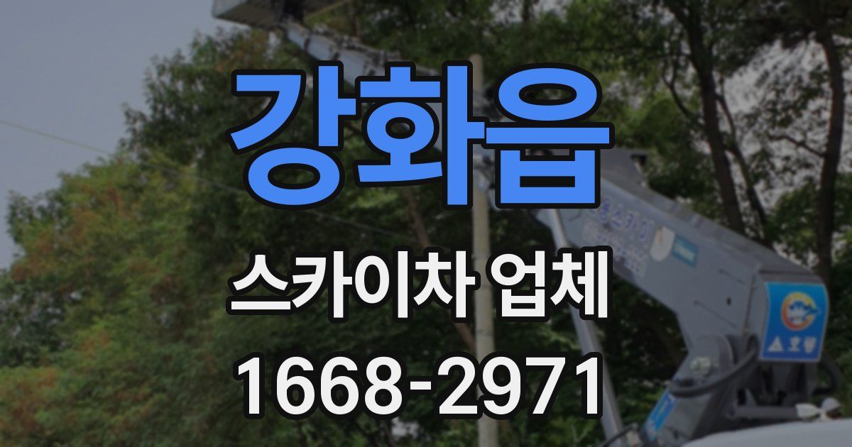 강화읍 스카이차 업체