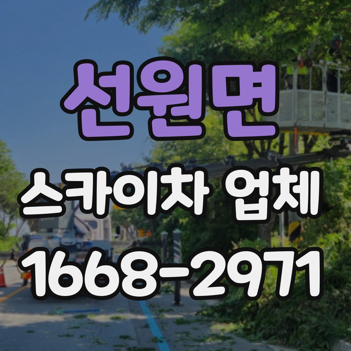 선원면 스카이차 업체