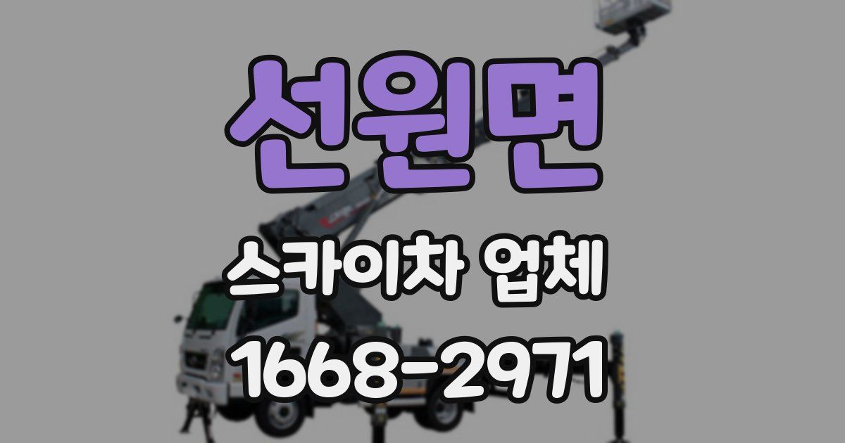 선원면 스카이차 업체