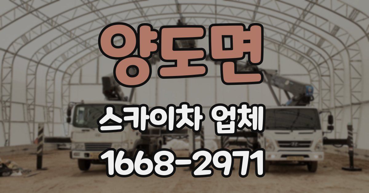 양도면 스카이차 업체