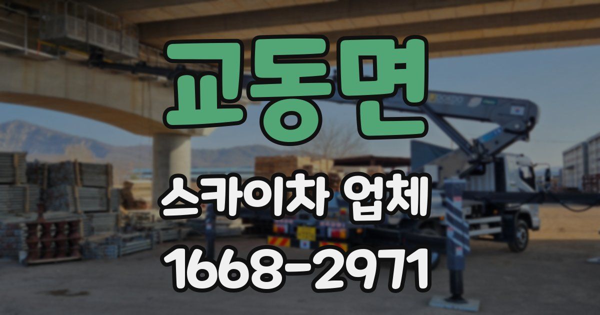교동면 스카이차 업체