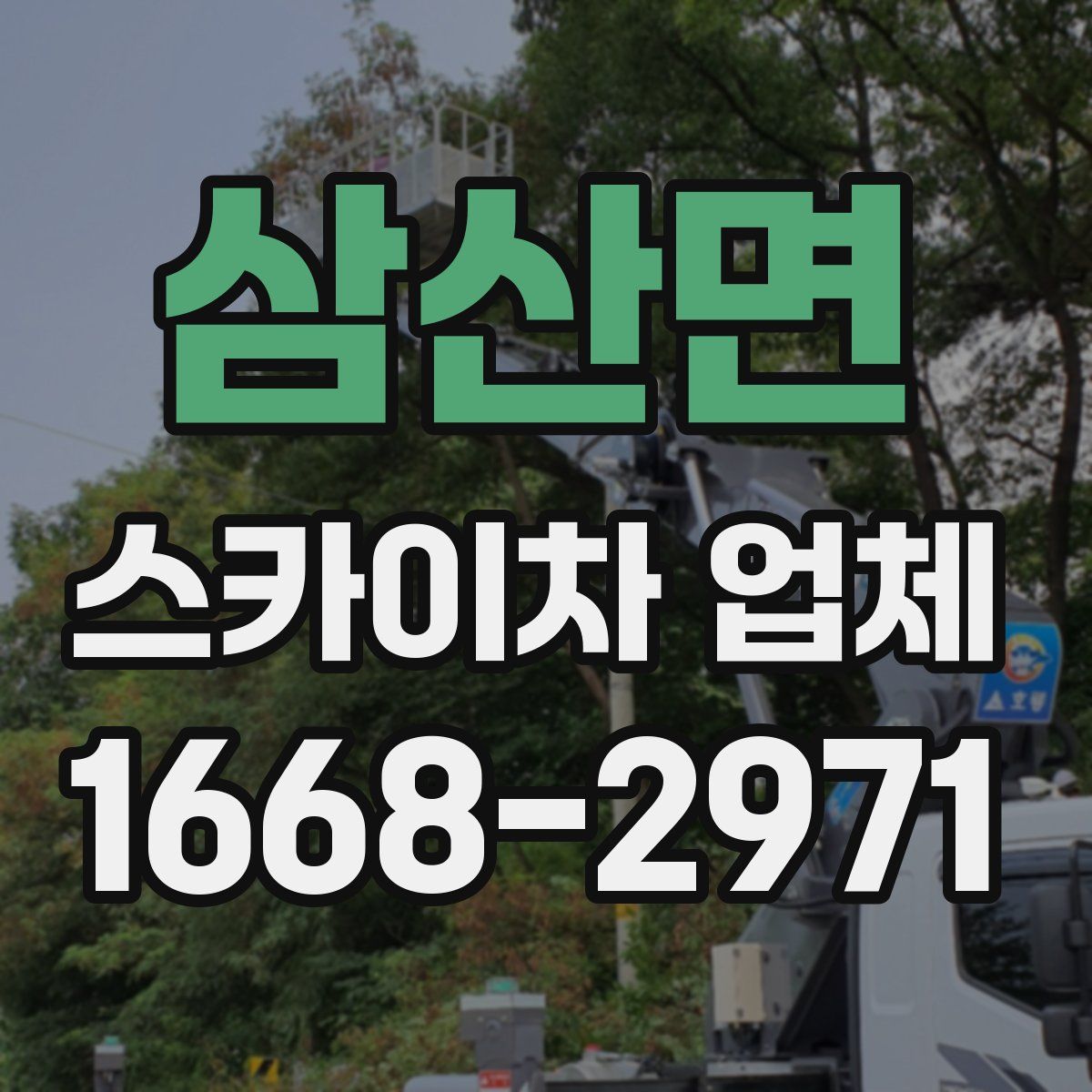삼산면 스카이차 업체
