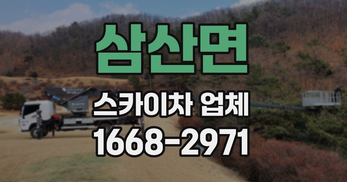 삼산면 스카이차 업체