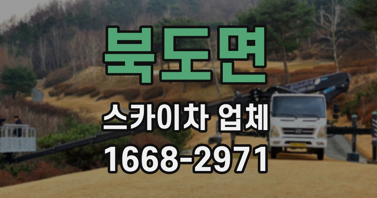 북도면 스카이차 업체