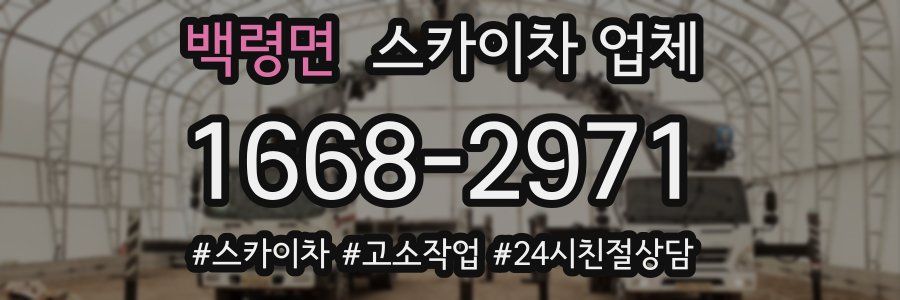 백령면 스카이차 업체