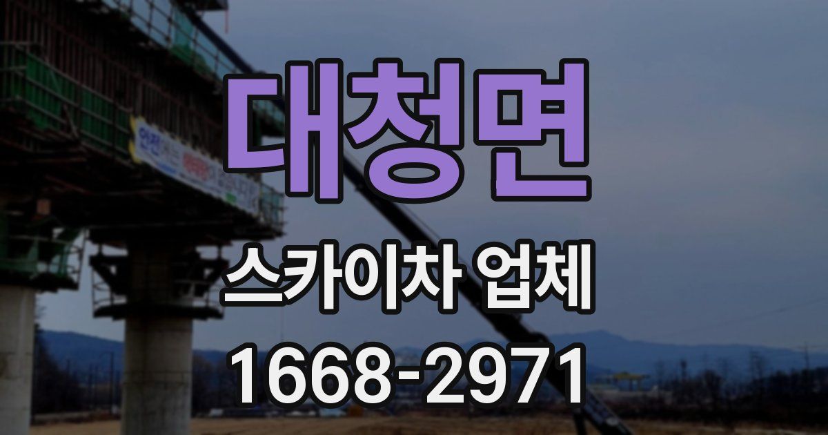 대청면 스카이차 업체