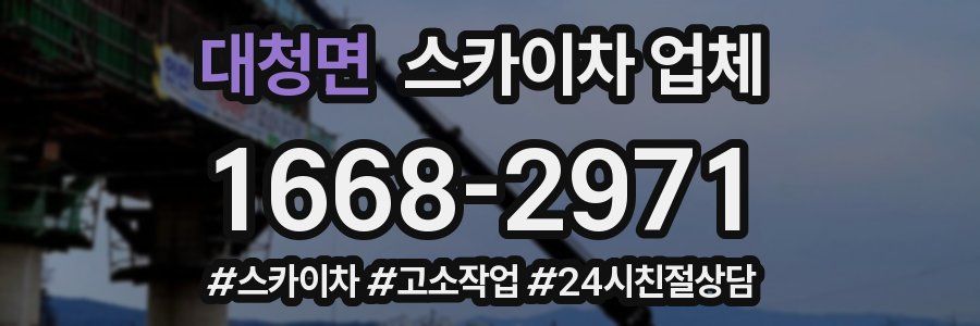 대청면 스카이차 업체