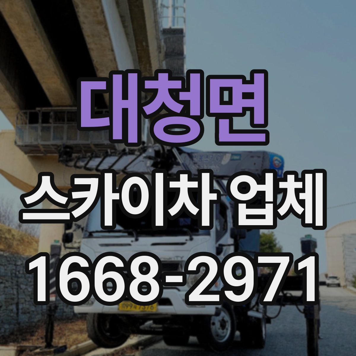 대청면 스카이차 업체