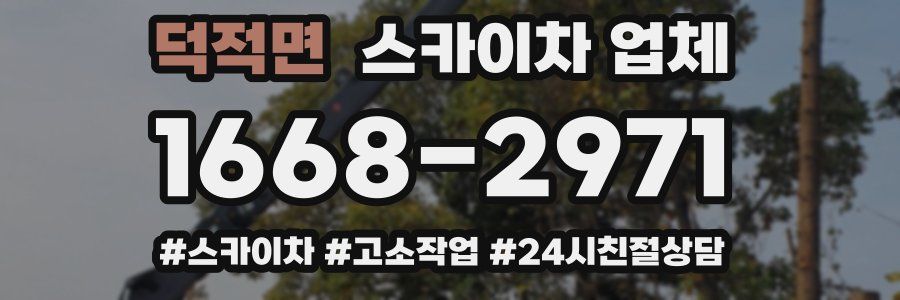 덕적면 스카이차 업체