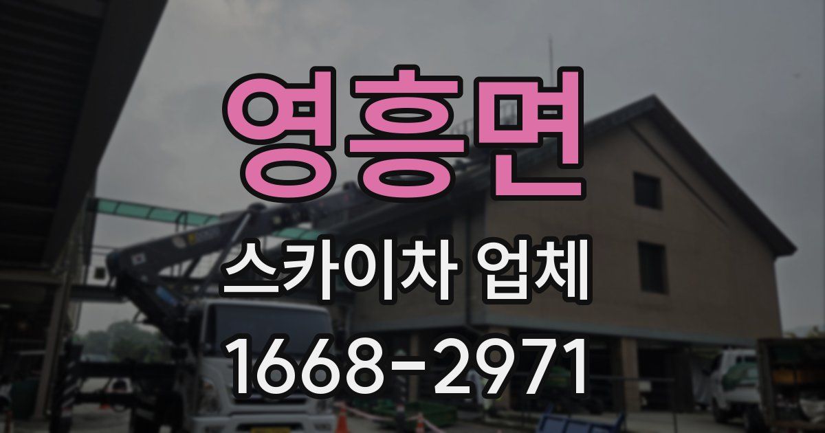 영흥면 스카이차 업체
