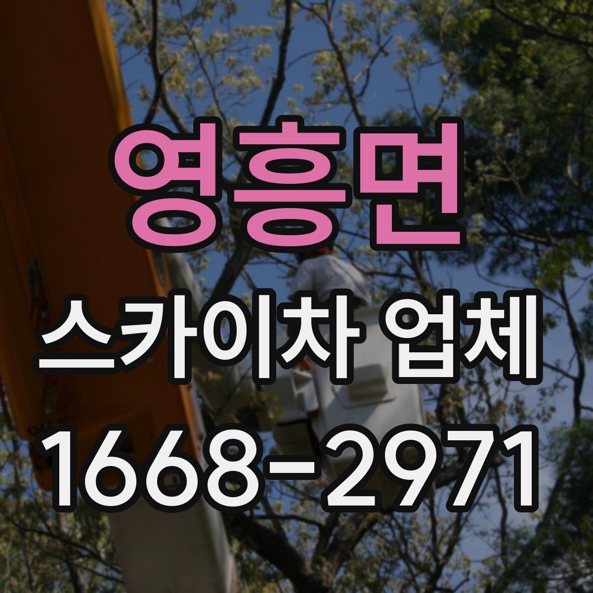 영흥면 스카이차 업체