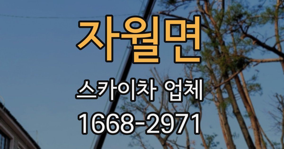 자월면 스카이차 업체