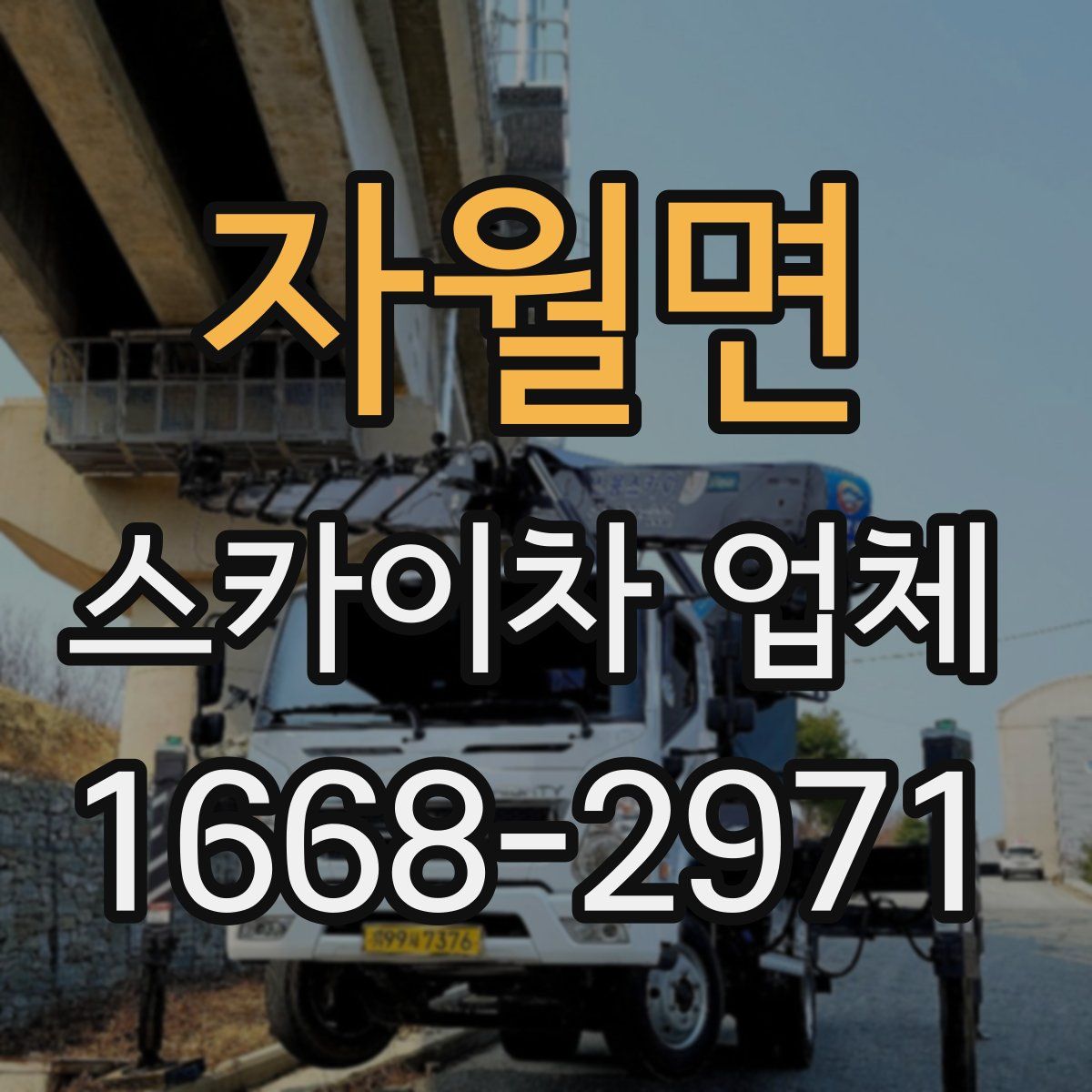 자월면 스카이차 업체