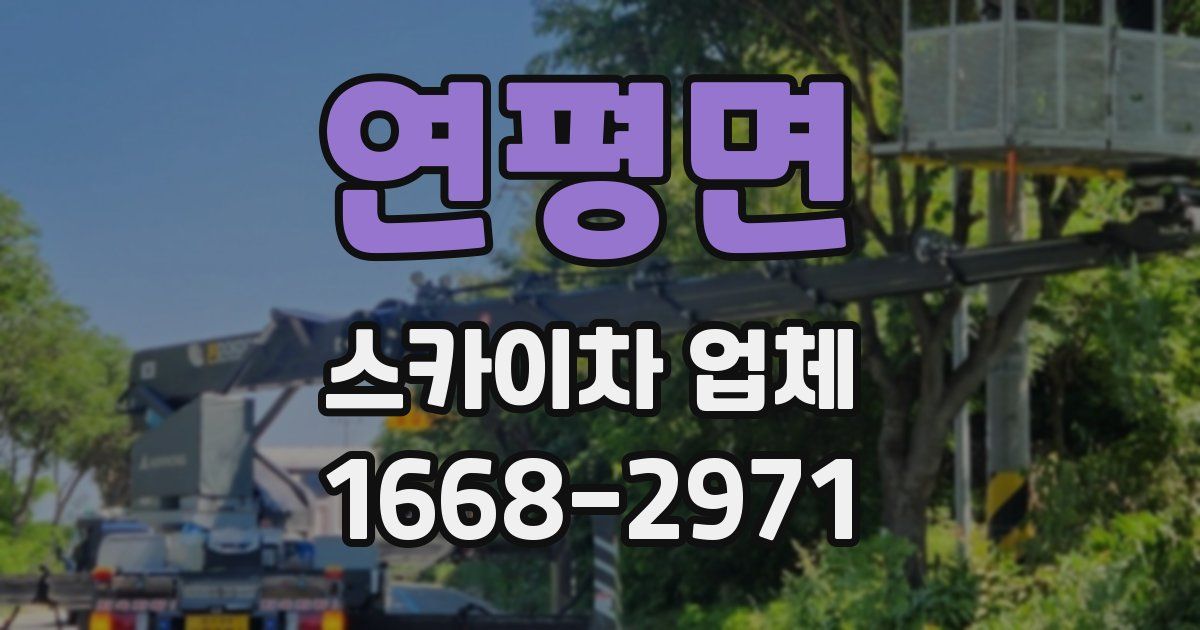연평면 스카이차 업체