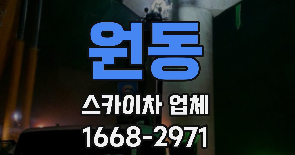 원동 스카이차 업체