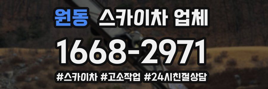 원동 스카이차 업체