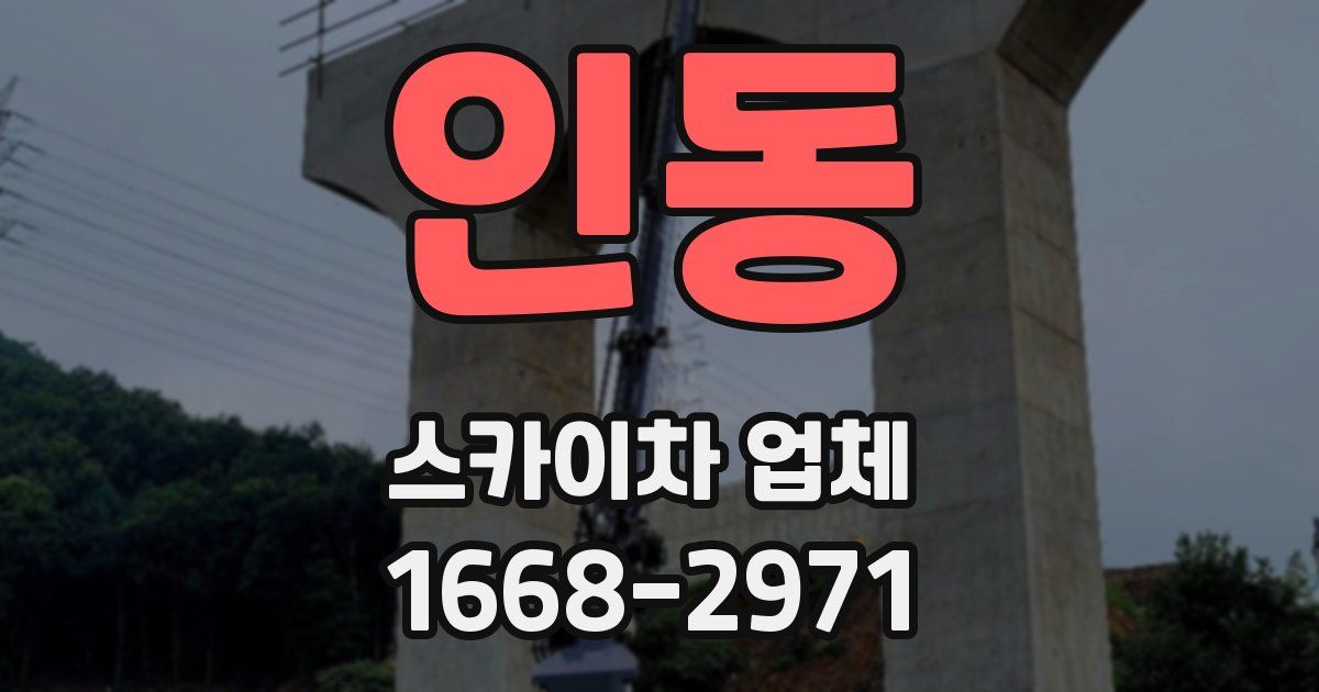 인동 스카이차 업체