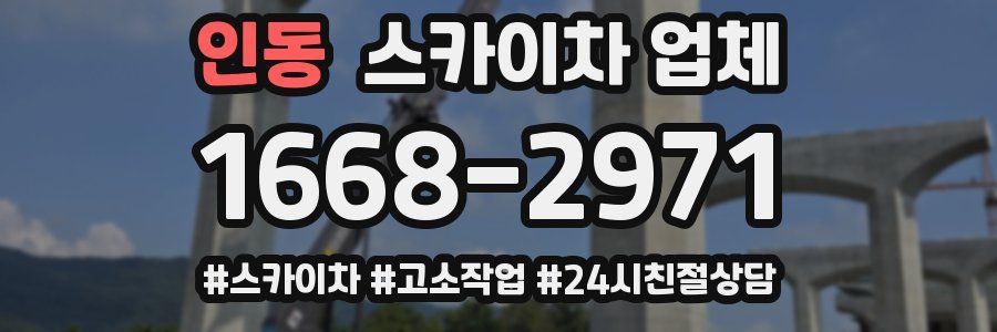 인동 스카이차 업체