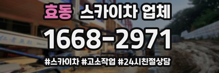 효동 스카이차 업체