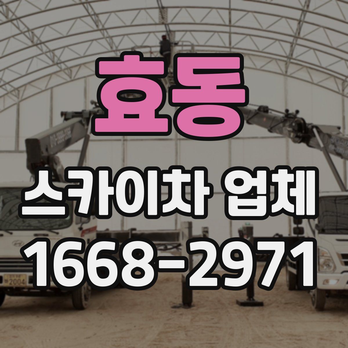 효동 스카이차 업체