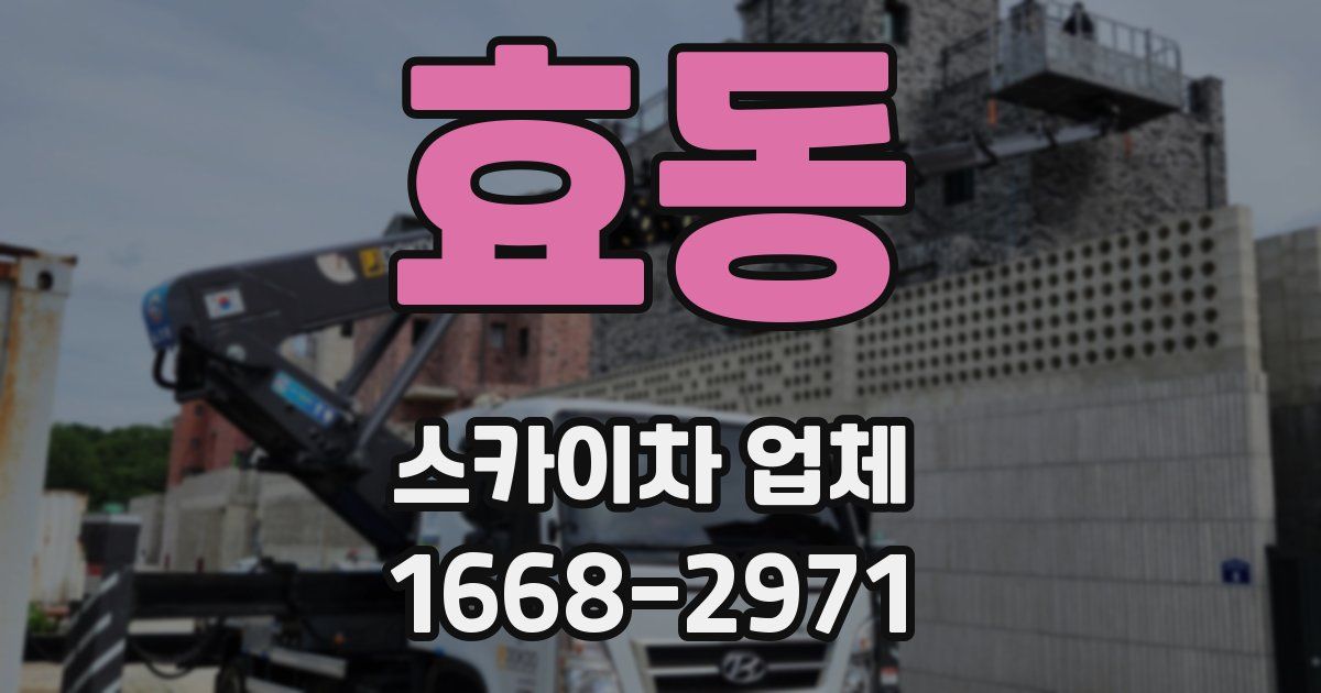 효동 스카이차 업체