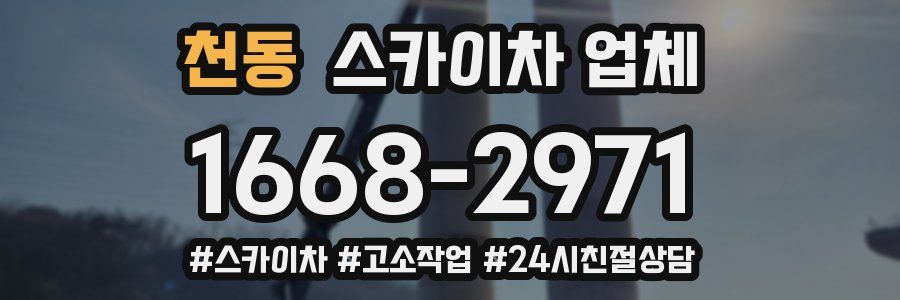 천동 스카이차 업체